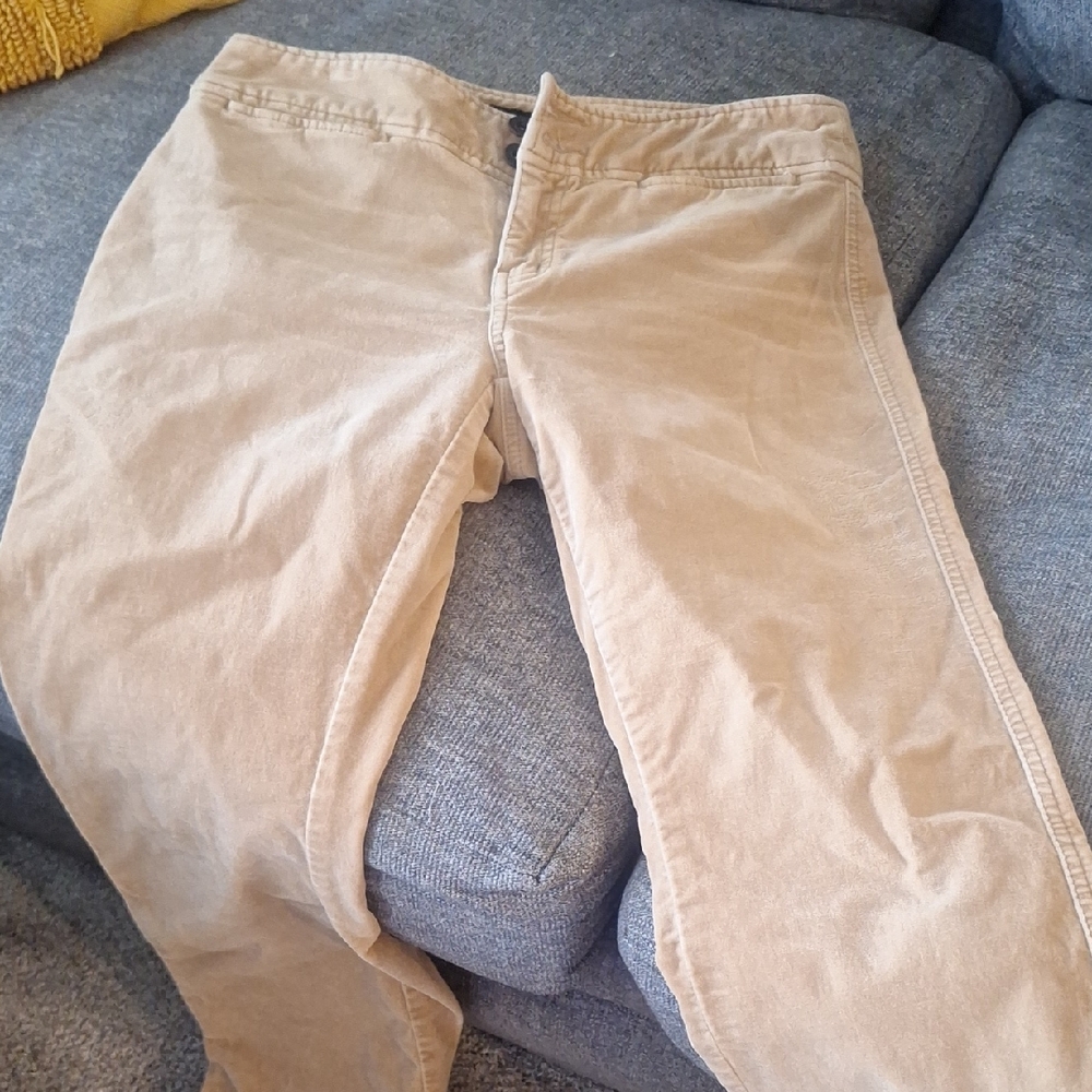Soft Crushed Velvet Slight Flare Tan Pants